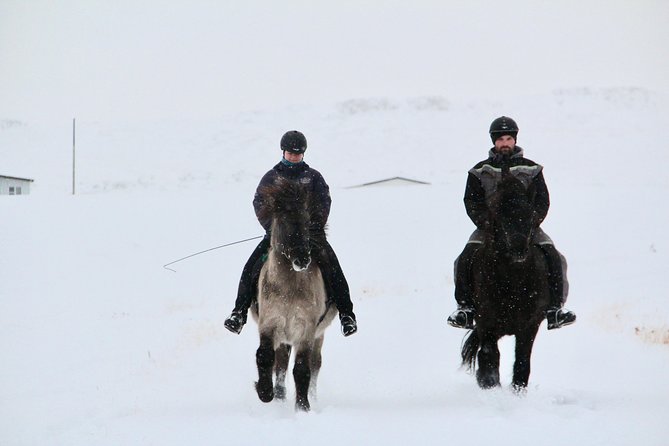 The Viking Horse Riding Experience in North Iceland - Meeting and Pickup Location