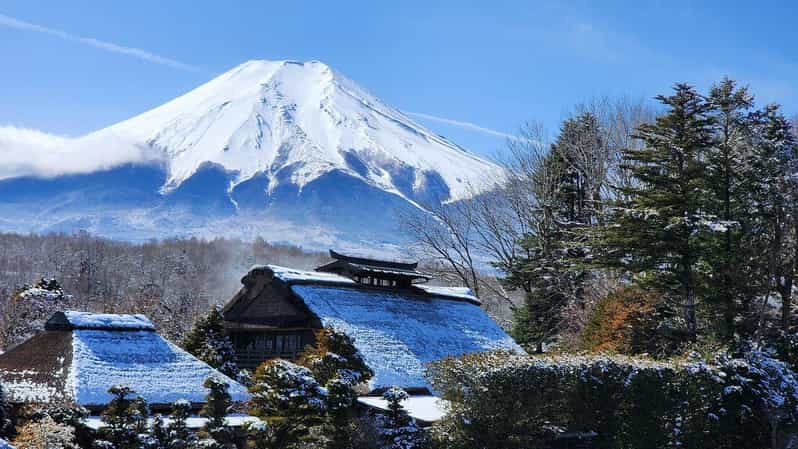 Tokyo: Mt. Fuji and Hakone 1-Day Private Tour - Itinerary and Activities