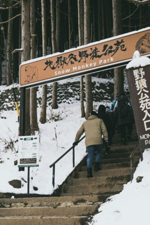 Tokyo: Snow Monkey Park & Zenkoji Temple Private Day Tour - Frequently Asked Questions