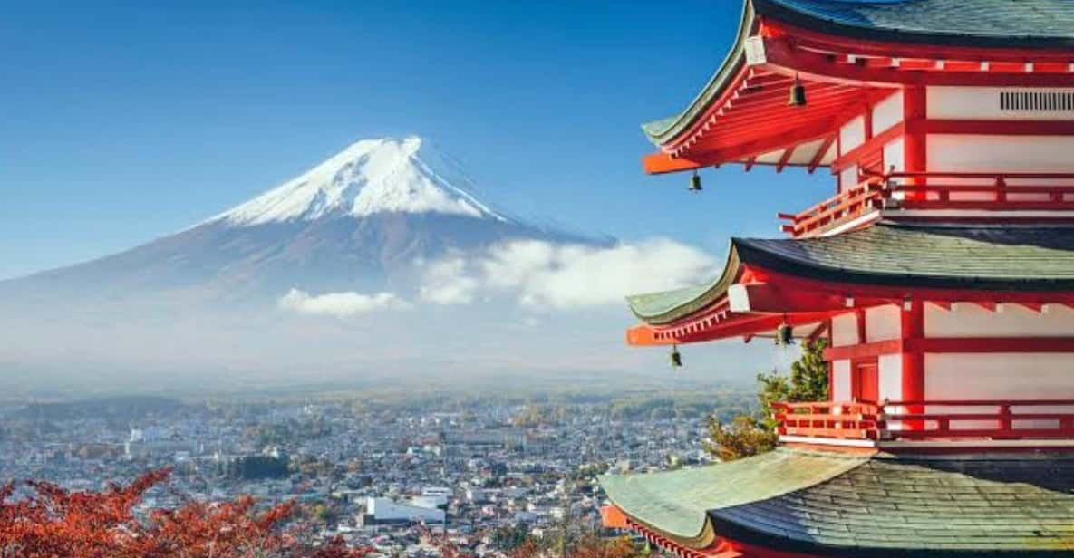 Tokyo to Mt Fuji Private Tour - Itinerary Highlights