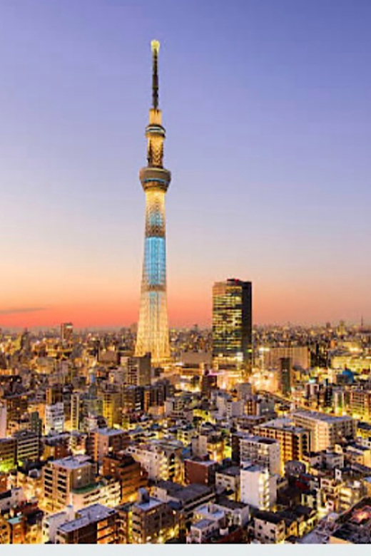 Tokyo Unforgettable Private Tour for Family(Up-To 6 Persons) - Pickup and Transportation