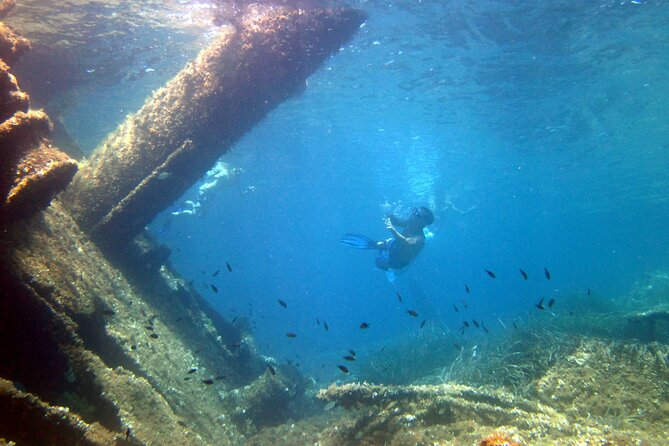 Tour in Rubber Dinghy and Snorkeling in the Protected Marine Area of Tavolara - Snorkeling Equipment and Beverages Included