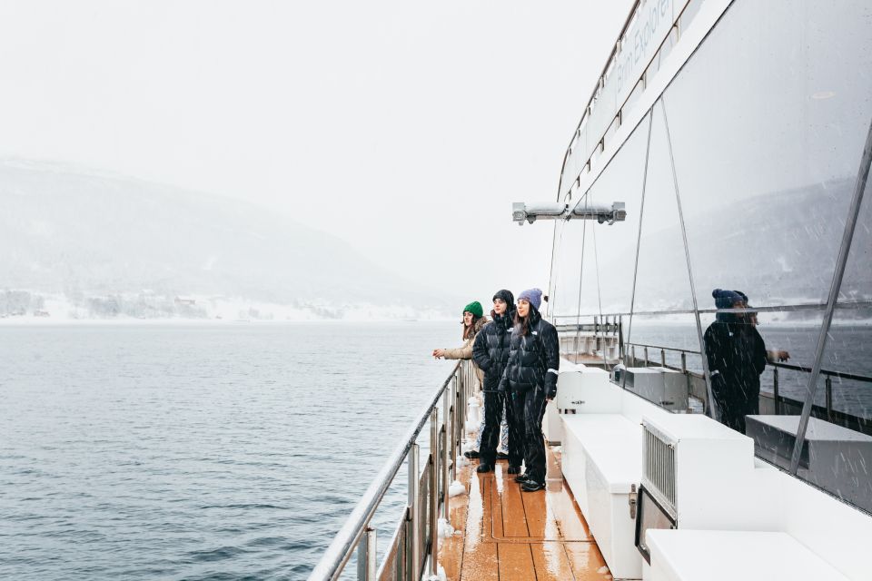 Tromsø: Arctic Fjord Cruise by Hybrid-Electric Catamaran - Highlights