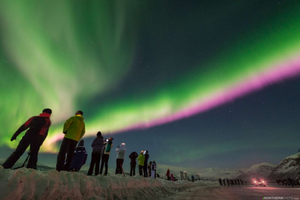 Tromso: Northern Lights Photography Bus Tour - Inclusions and Highlights