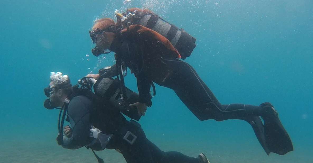 Try Dive for Beginners - Unique Marine Life Encountered