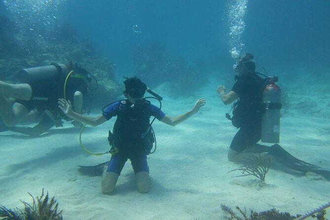 Two Tank Dive in Montego Bay With Certified PADI Instructor - Inclusions and Exclusions