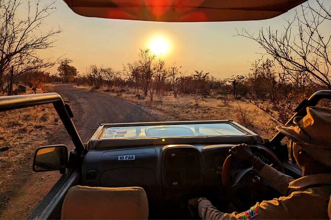 Unique Safari Game Drives in Zambezi National Park, 4 Options - Additional Fees and Costs