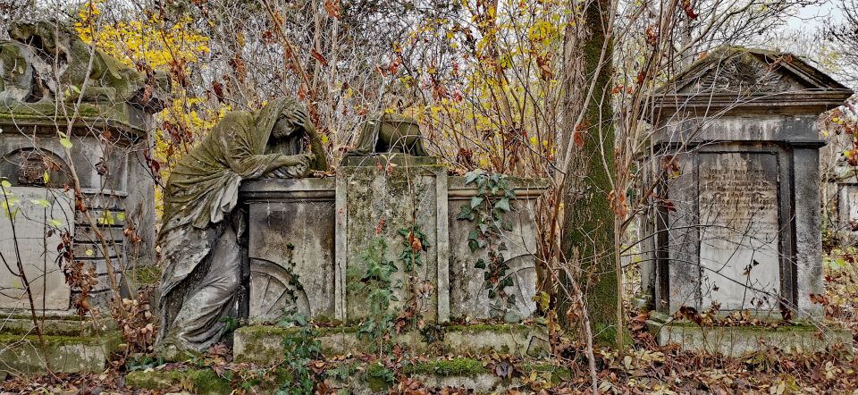 Vienna: Private Walking Tour St. Marx Cemetery - Mozart Tomb - Discovering the Historic Site