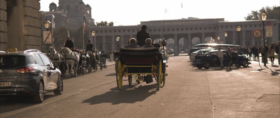 Vienna: Private Walking Tour to The Hofburg & Graben Street - Discover Hofburg Palace