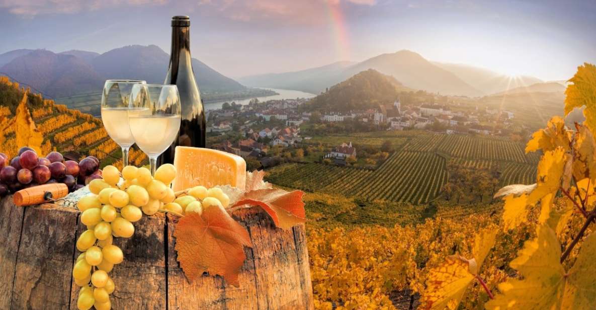 Vienna: Winery and Wine Tasting Tour With a Wine Expert - Wine Tasting Inclusions