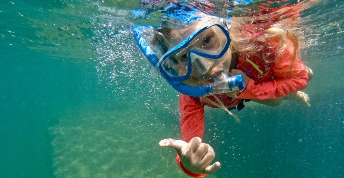 Waikiki: Honolulu Beginner Snorkeling Tour With Videos - Experience Details