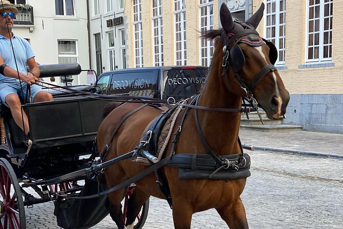 Walking Tour Bruges: Exciting Stories, Mysteries, People - Walking Tour Highlights