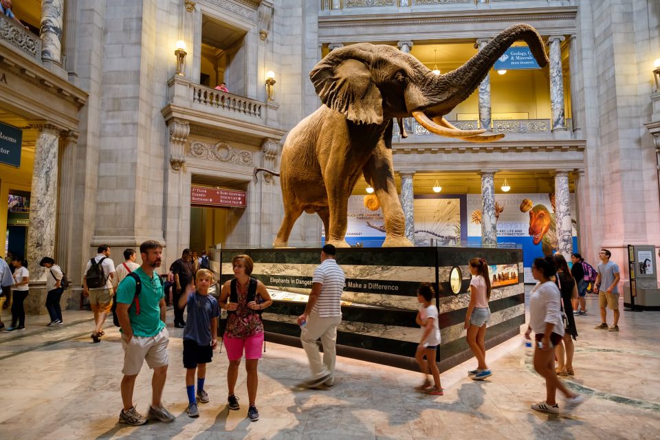 Washington DC: Museum of Natural History Private Guided Tour - Customizable Experiences