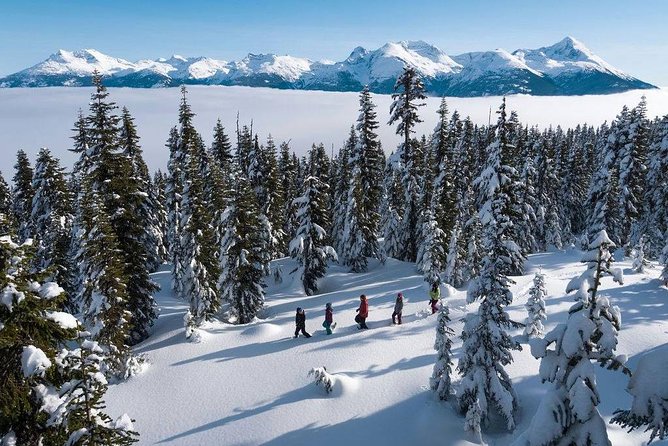 Whistler Snowshoeing Adventure - Exclusions and Additional Costs