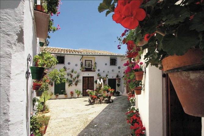 White Villages and Ronda Two Days Tour From Seville - Customer Reviews