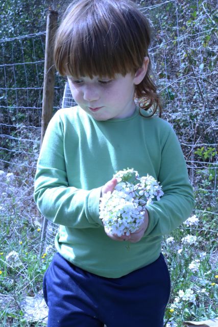 Wild Walk: Discover the Local Wild Flora - Pricing and Reservations