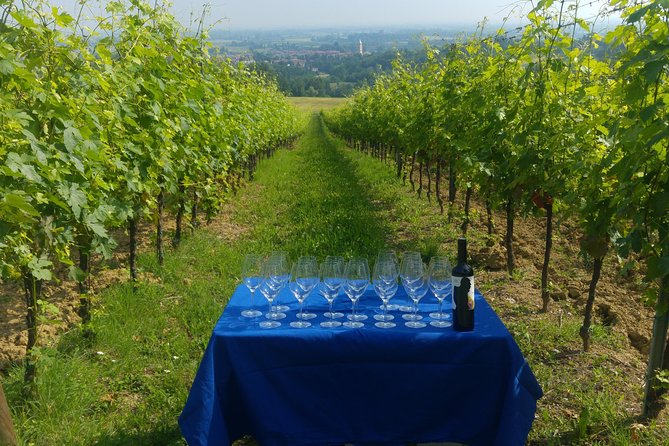 Winetour and Tasting on Bologna Hills, Guided by the Wine Grower - Featured Wine Varietals