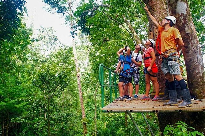 Zip Line - Half Day Adventure - Pricing and Cancellation