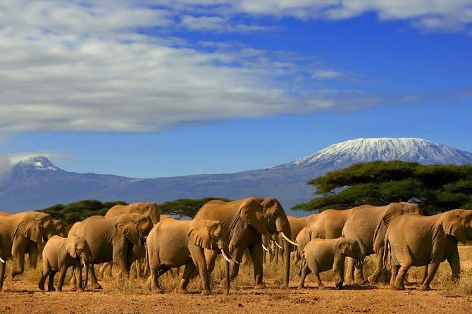 3 Days, 2 Night Amboseli Safari - Key Points