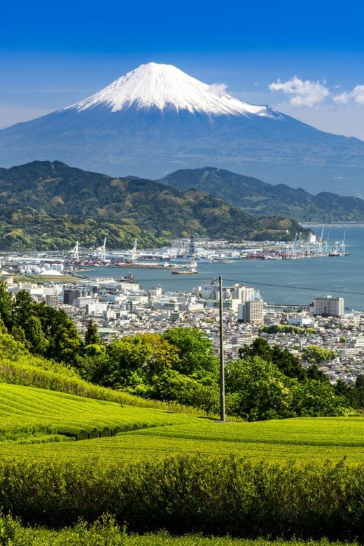 3 Days Tour From Tokyo (1) Mt Fuji (2) Kamakura (3) Nikko Tour Overview And Pricing