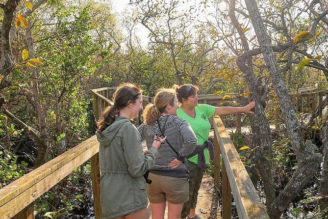 1-Hour Air Boat Ride and Nature Walk With Naturalist in Everglades National Park - Inclusions