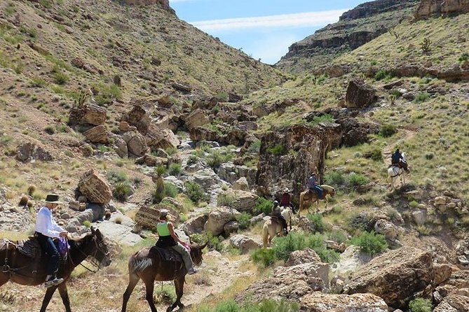 2-Hour Horseback Riding Through Red Rock Canyon - Meeting and Pickup Information