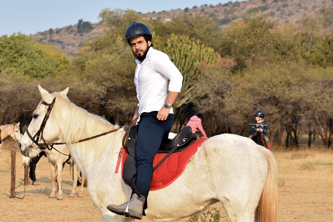 2-Hour Horseback Safari in Hartbeespoort - Meeting and Pickup