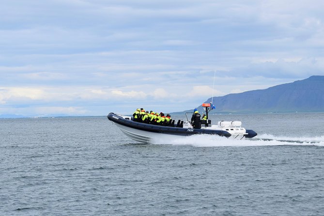 2-Hour RIB Boat Whale Watching Tour From Reykjavik - Meeting and Pickup