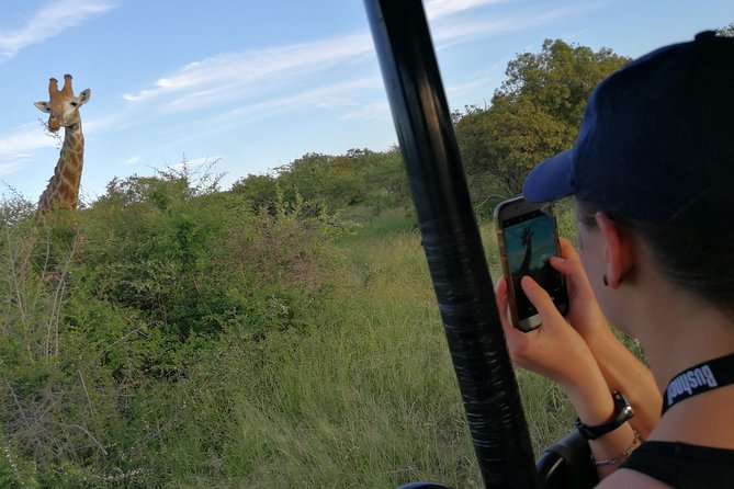 3-Day Tour of Kruger National Park From Skukuza Airport - Private Game Drives