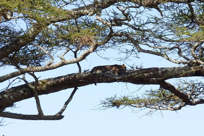 3 Days Lake Manyara, Ngorogoro Crater, Tarangire National Park - Accommodation and Meals Included