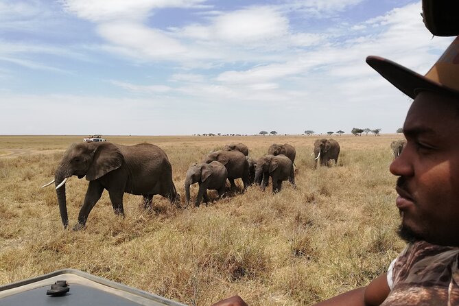 4-Day Safari to Tarangire, Serengeti and Ngorongoro From Arusha - Join a Group - Excluded Expenses