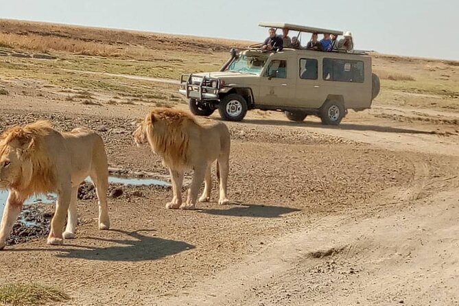 4 Days, 3 Nights Group Budget Safari, Lake Manyara, Serengeti, Ngorongoro - Activities and Experiences