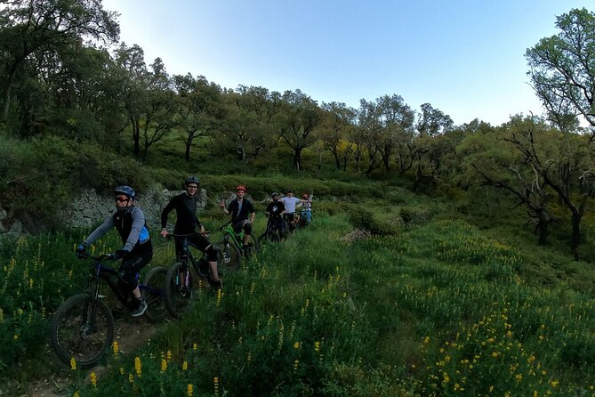 4 Hour Private MTB Enduro Trail Tour in Sintra Mountain - Meeting and Pickup