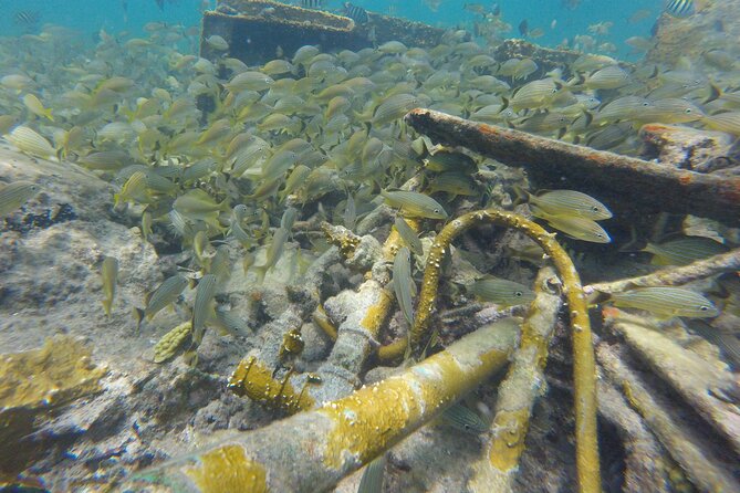 4 Hour Private Sandy Cay Experience With Snorkeling - Adults Only - Meeting Point and Location