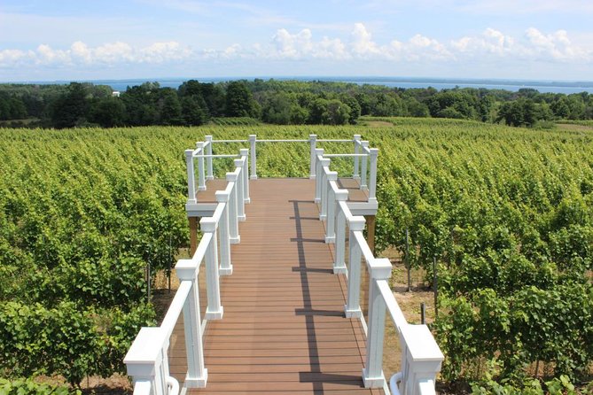 5-Hour Traverse City Wine Tour: 4 Wineries on Old Mission Peninsula - Winery Highlights