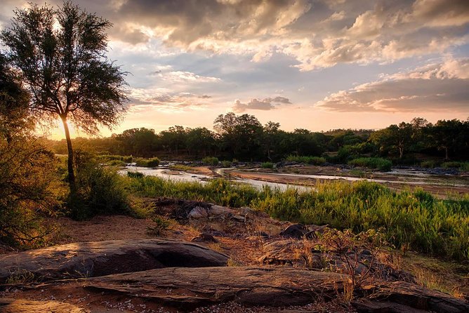 6 Day Budget Kruger National Park Safari - Meeting and Pickup Details