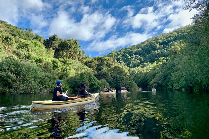 6-Day Garden Route & Addo South African Adventure From Cape Town - Exploring the Cango Caves