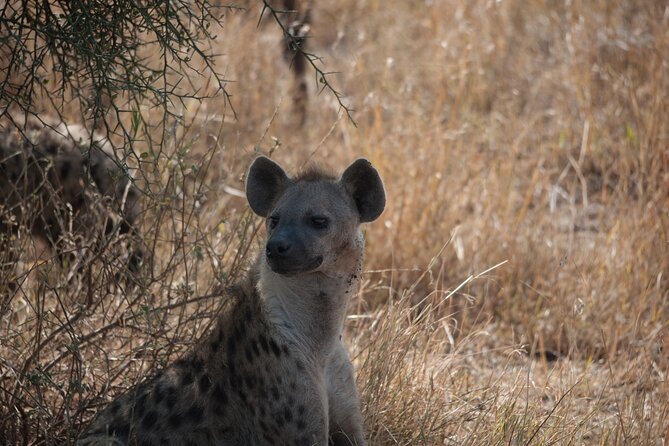 6-Day Private Camping Safari Tour From Kilimanjaro Airport - Participation Details