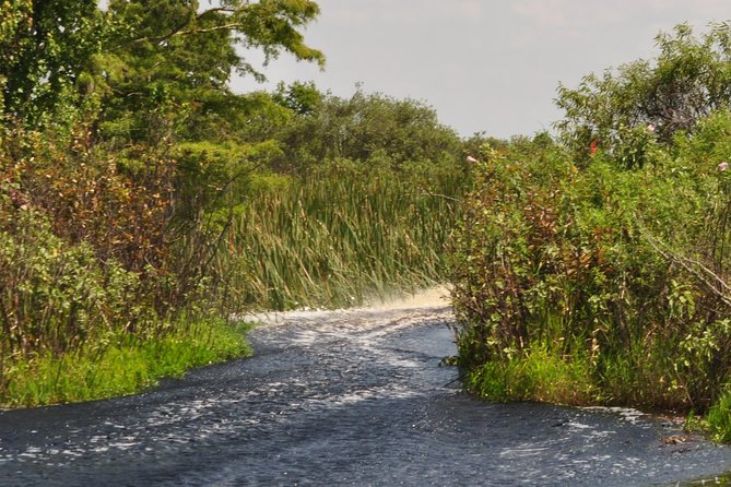 90 Minute Everglades Airboat Tour Near Orlando Florida - Guide and Experience