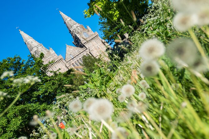 Aberdeen Historical Walking Tour - Reviews and Feedback