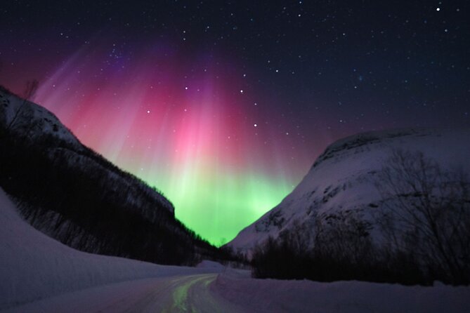 Adults Only Aurora Hunt Tour With Citizen Science in Tromso - Thermal Suits and Boots