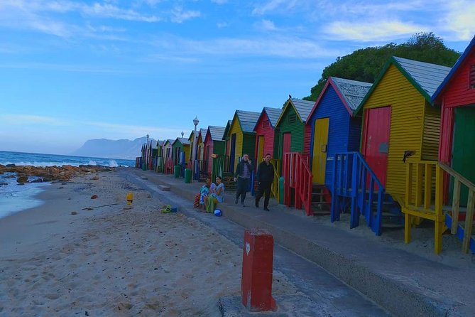 African Penguins (Boulders Beach) Half Day Tour From Cape Town - Included Services