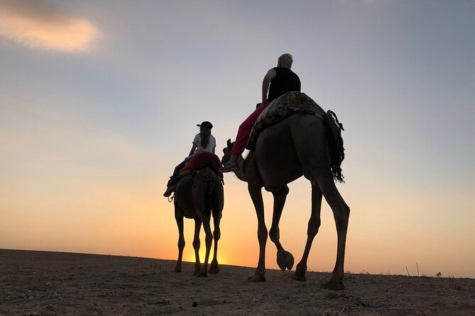 Agafay Desert Camel Ride With Dinner - Pickup and Meeting Challenges