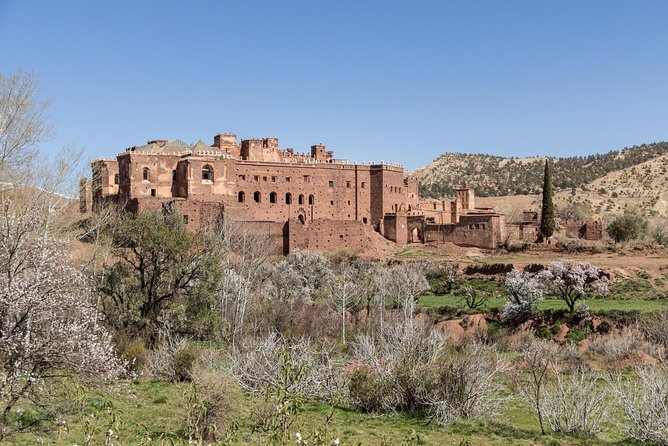 Ait Benhaddou Day Trip - Tour Experience