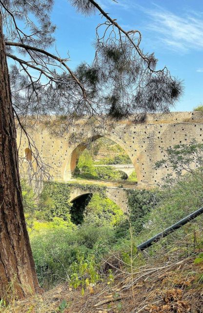 All-Day Knossos Palace Tour & Olive Mill Visit - Cultural Experience