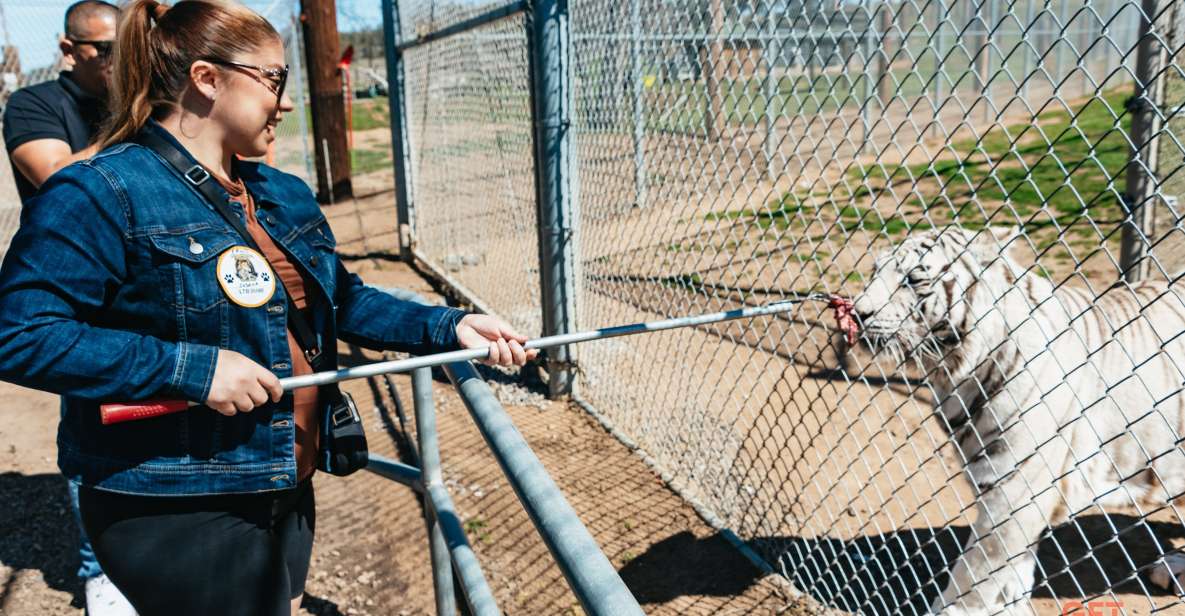 Alpine: Lions Tigers & Bears Sanctuary Visit and Feeding - Endangered Animal Rescue Efforts