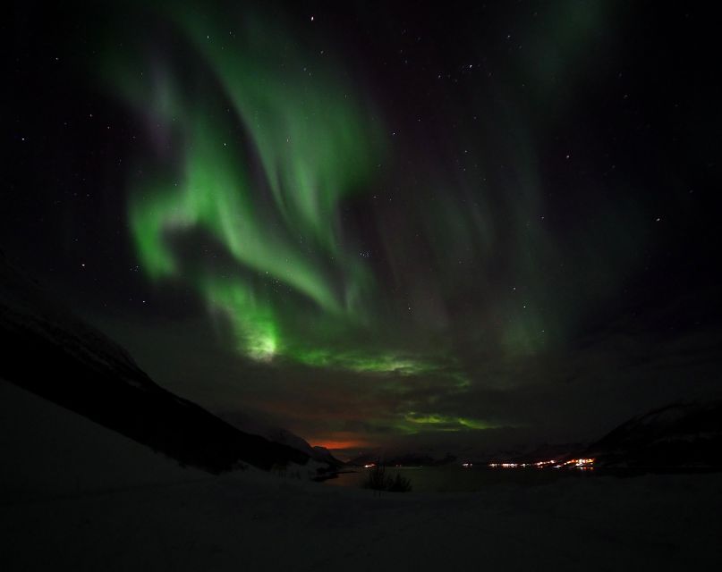 Alta: Small-Group Guided Northern Lights Tour - Suitability