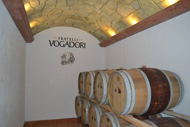 Amarone Della Valpolicella Wine Experience - Meet the Vogadori Family - Valpolicella Wine Tasting