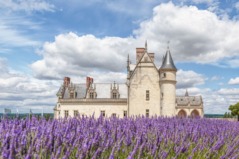 Amboise: Photography Masterclass - Lunch Break