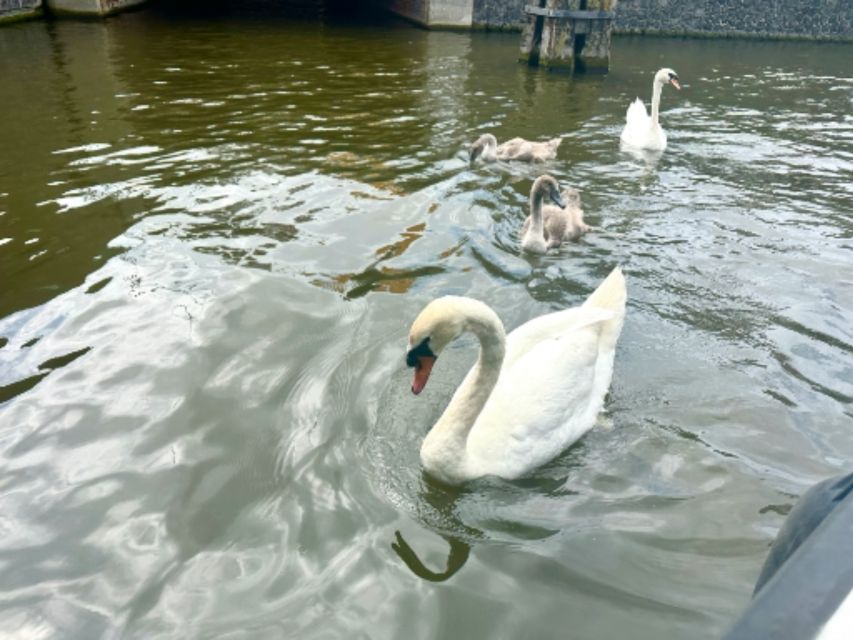 Amsterdam: Boat Cruise With Drinks and Nibbles - Onboard Amenities